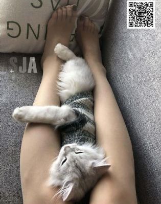 亚洲一区二区电影_日韩电影在线
