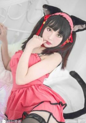 2021最新精品视频_DVD免费观看视频